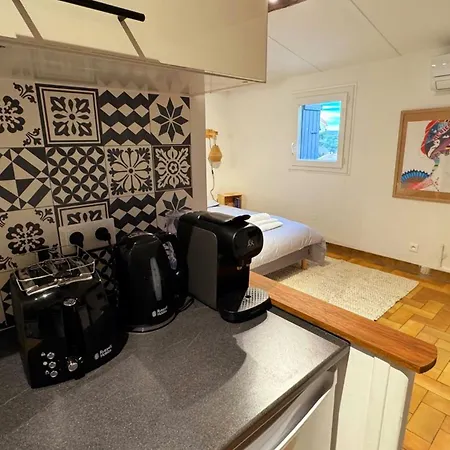 La Parenthese Piscenoise Appartement