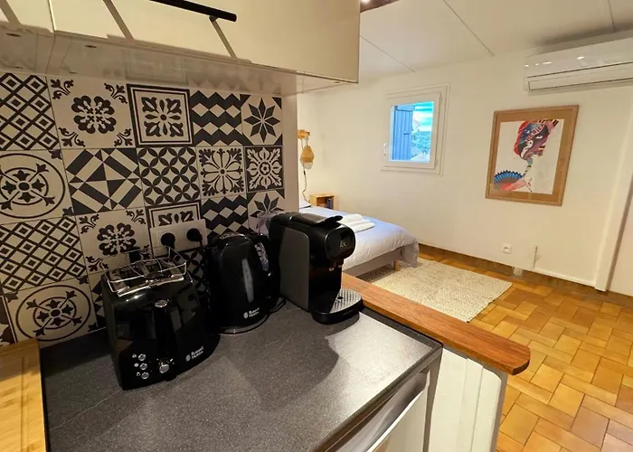 La Parenthese Piscenoise Appartement
